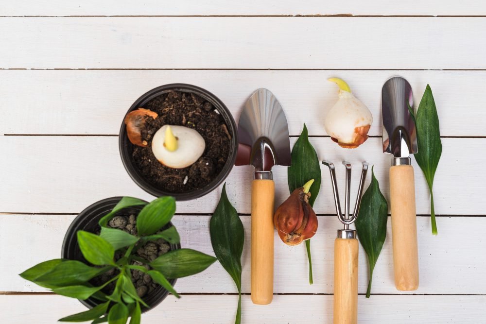Garden Tools